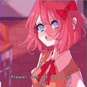 Meet your Posher, Lottie